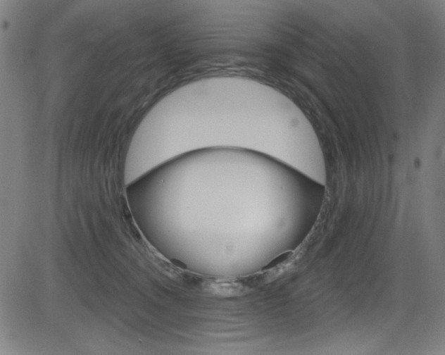 X0000083070372200702021017