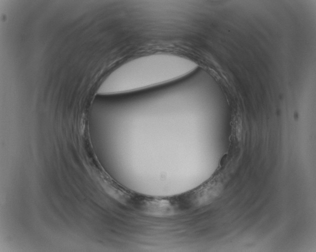 X0000083070374200702021017