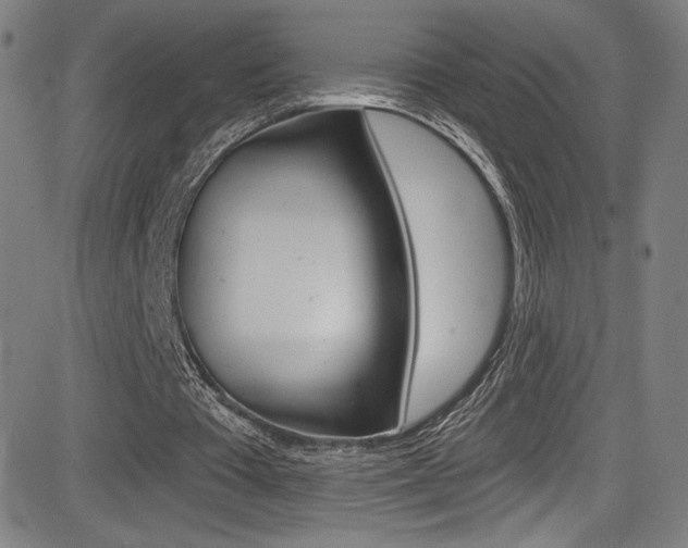 X0000083070385200702021016
