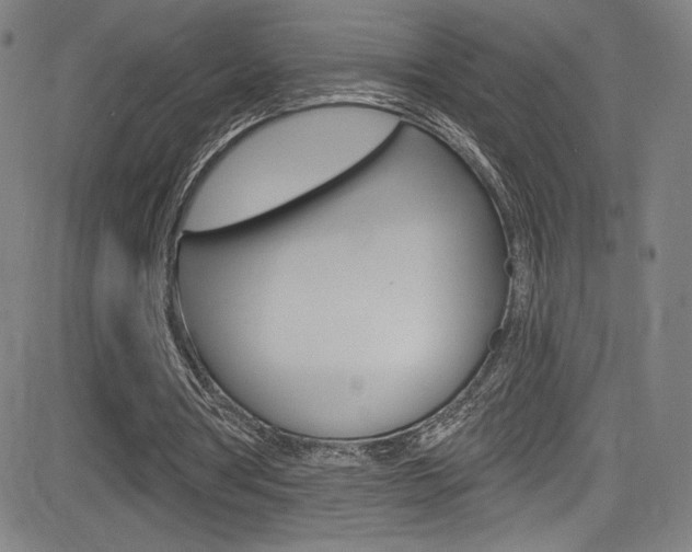X0000083070386200702021016