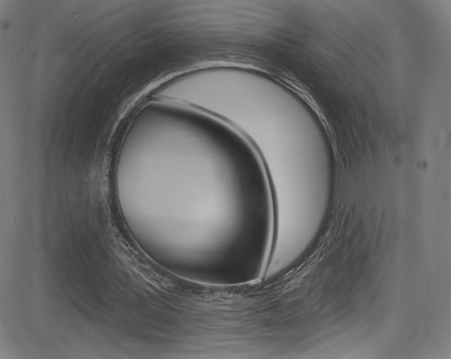 X0000083070387200702021016