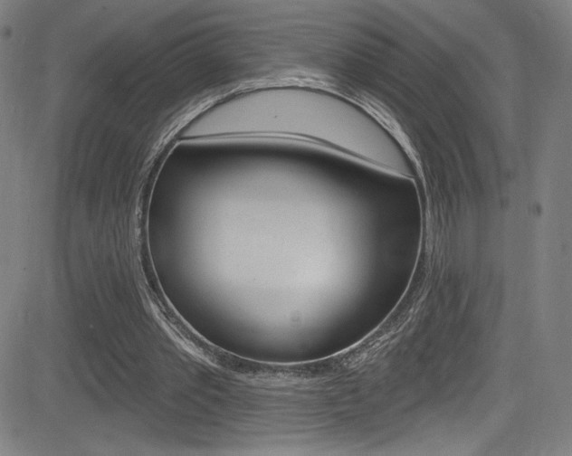 X0000083070389200702021016