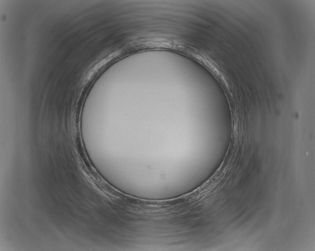 X0000083070390200702021016