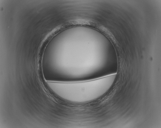 X0000083070395200702021016