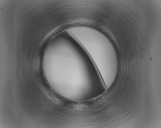 X0000083070400200702021016