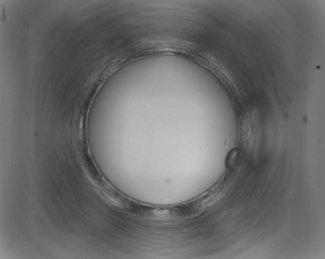 X0000083070406200702021016