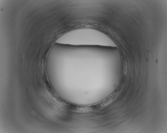 X0000083070414200702021016