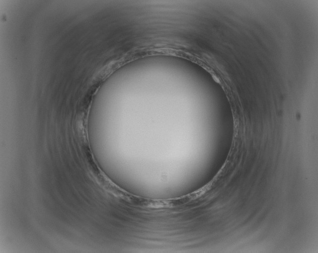 X0000083070415200702021016
