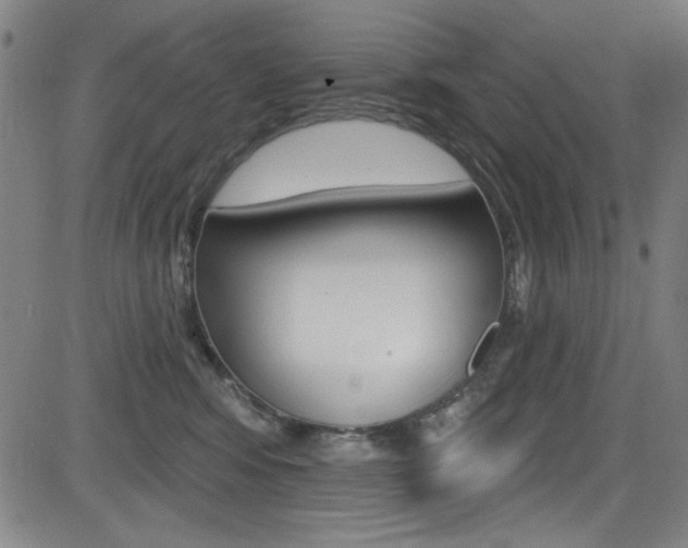 X0000083070424200702021015