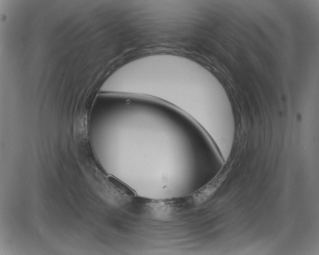 X0000083070425200702021015