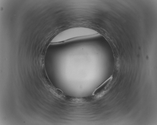 X0000083070428200702021015