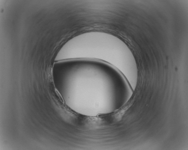 X0000083070429200702021015