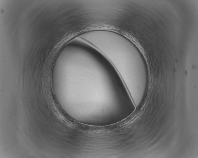 X0000083070433200702021014