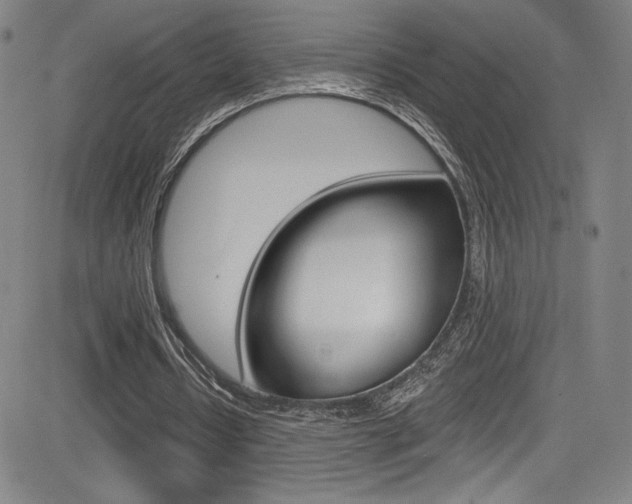 X0000083070434200702021015