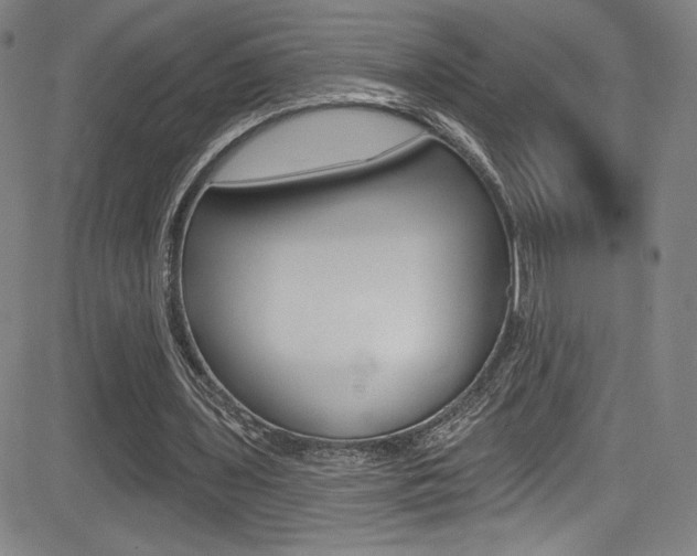 X0000083070435200702021015
