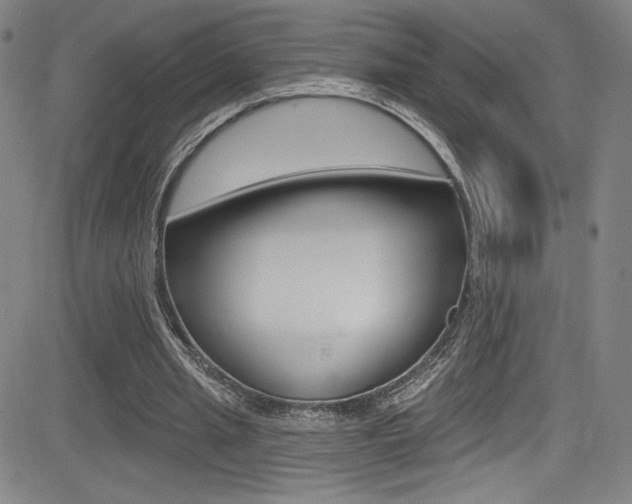 X0000083070437200702021015