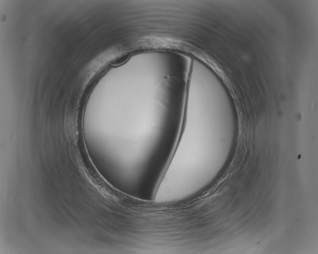 X0000083070438200702021015
