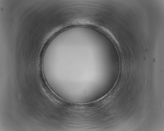 X0000083070439200702021015