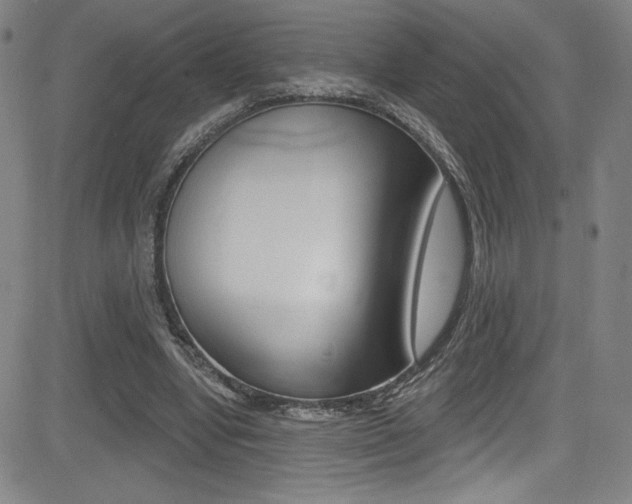 X0000083070442200702021015