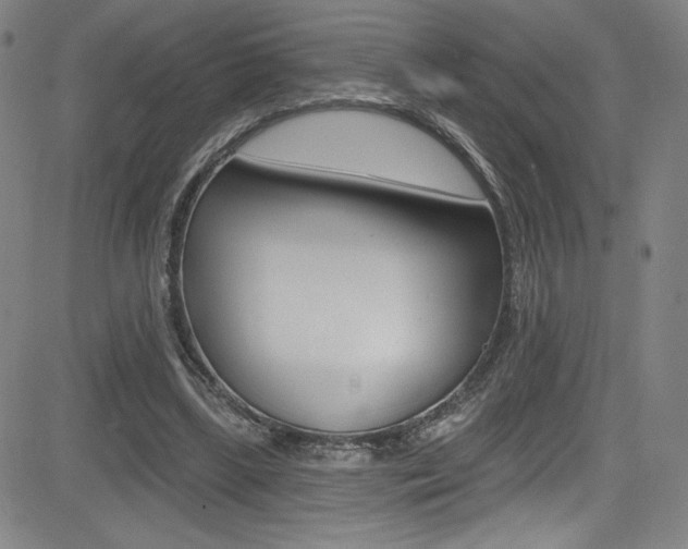 X0000083070443200702021015