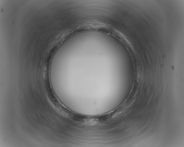 X0000083070451200702021015
