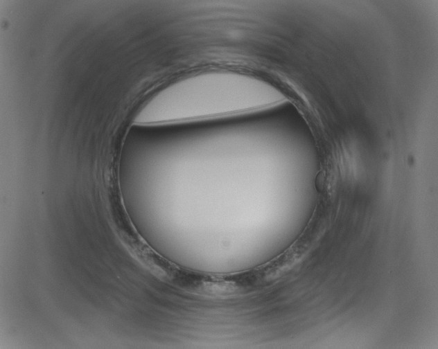 X0000083070455200702021015
