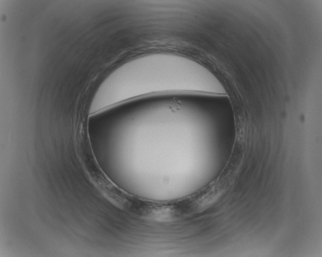 X0000083070456200702021015