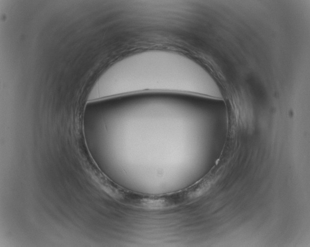 X0000083070457200702021015