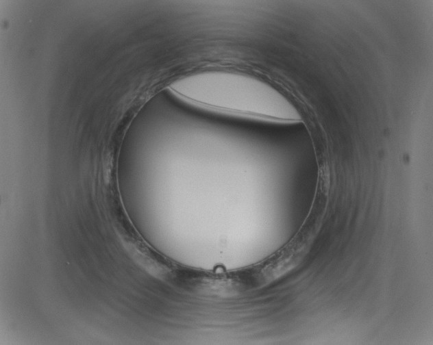 X0000083070458200702021015