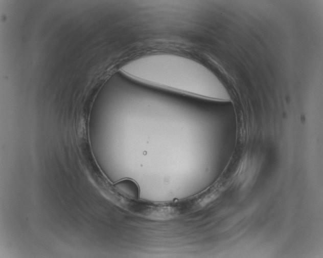 X0000083070459200702021015