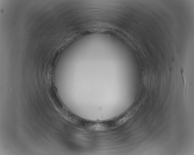 X0000083070460200702021015