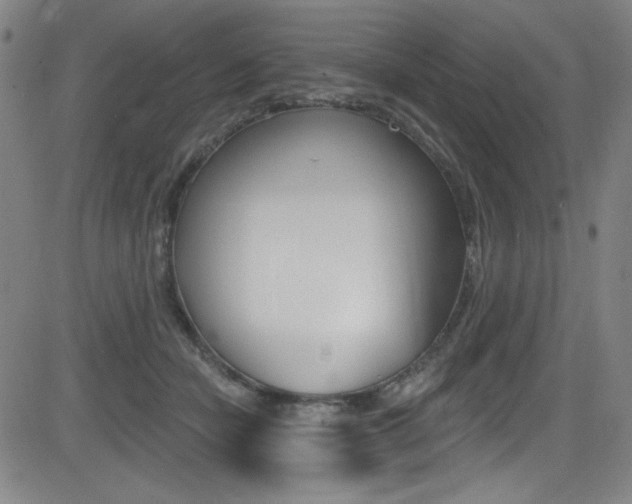 X0000083070462200702021015