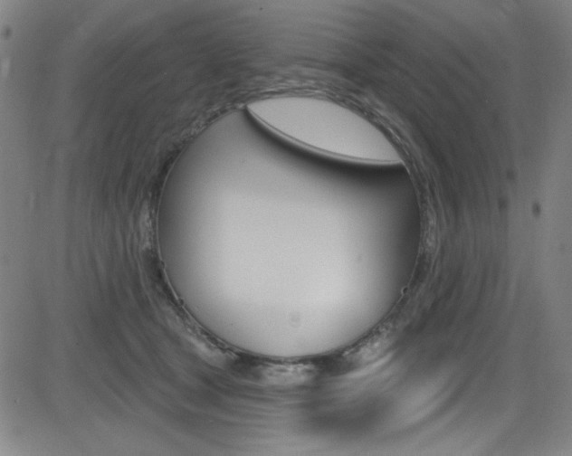 X0000083070465200702021015
