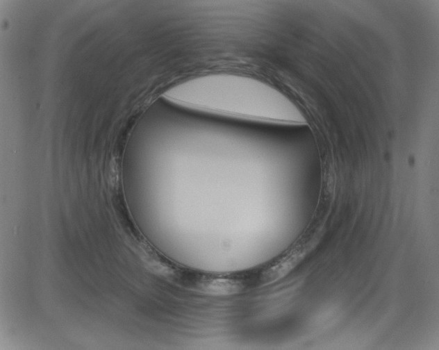 X0000083070467200702021015