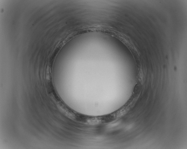 X0000083070470200702021015