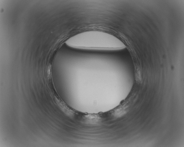 X0000083070477200702021015