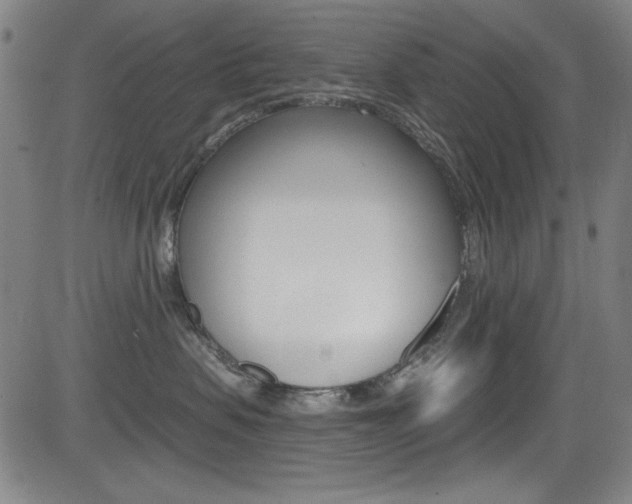 X0000083070479200702021015