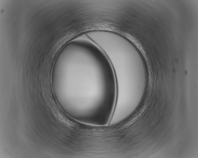 X0000083070481200702021014