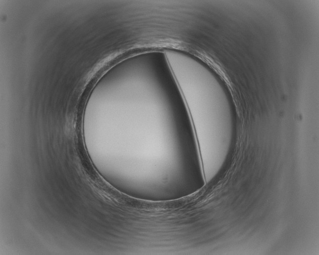 X0000083070483200702021014