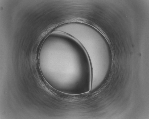X0000083070485200702021014