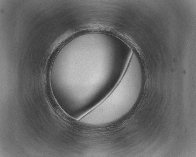 X0000083070488200702021014