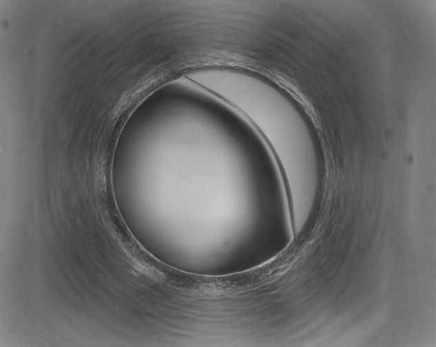 X0000083070489200702021014