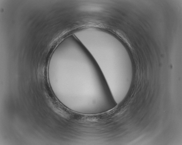 X0000083070491200702021014