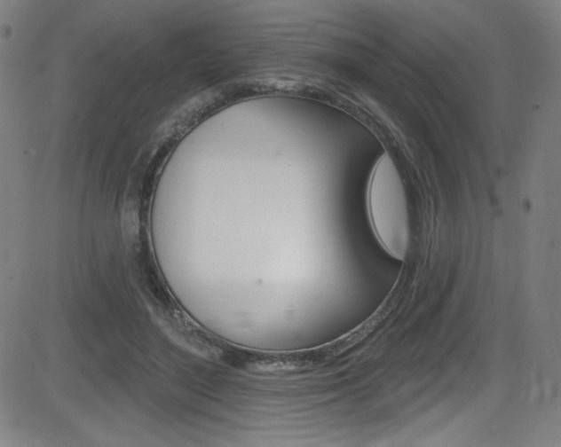 X0000083070500200702021014