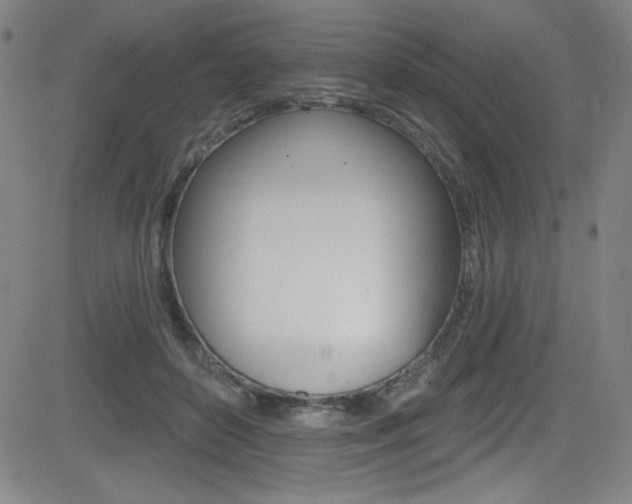 X0000083070504200702021014