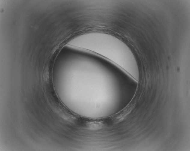 X0000083070508200702021014
