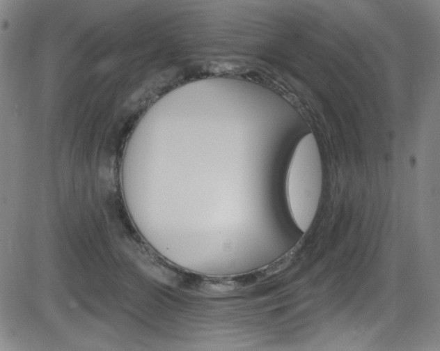 X0000083070510200702021014