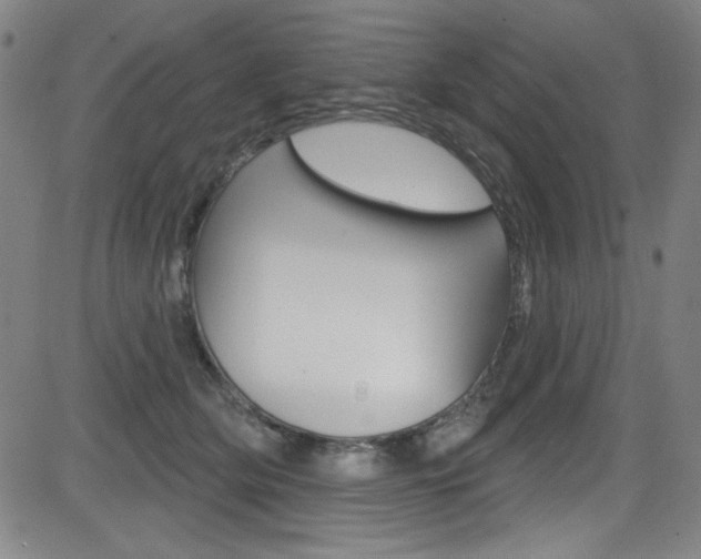 X0000083070514200702021014
