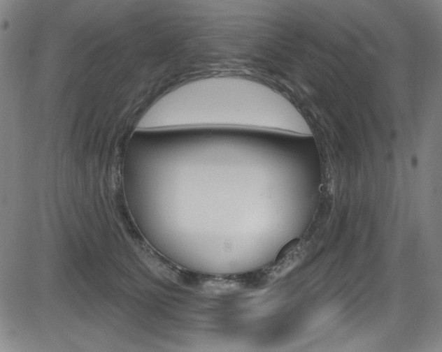 X0000083070515200702021014