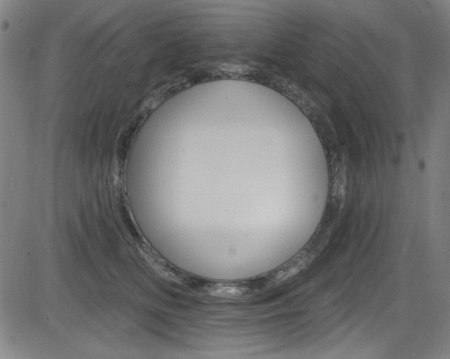 X0000083070518200702021014